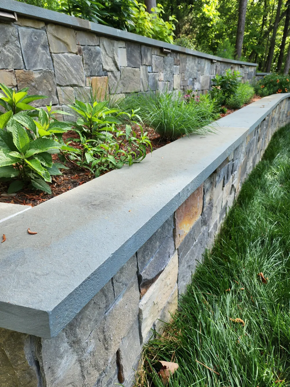 Bluestone-capped natural stone retaining wall along a planted garden bed